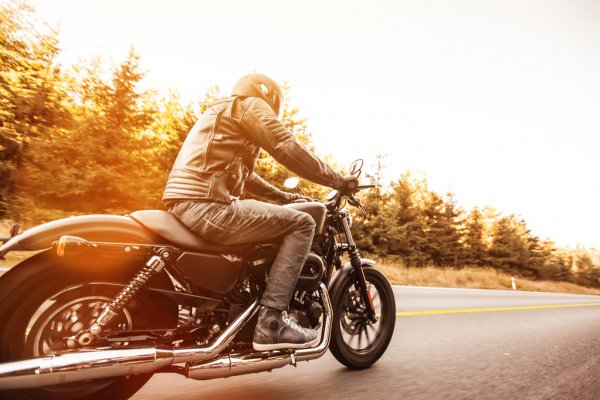 harley